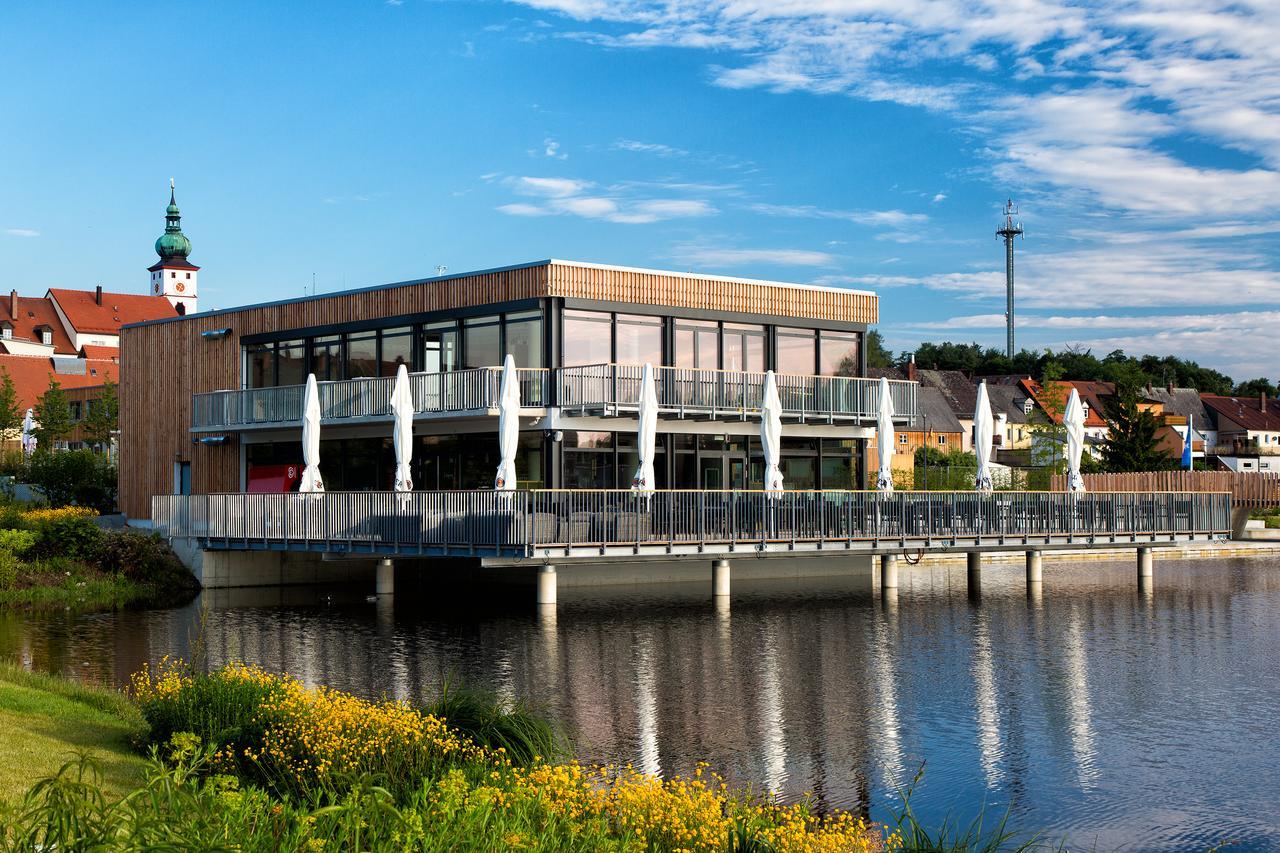 Seenario - Art & Health Hotel Am See Tirschenreuth Exterior photo