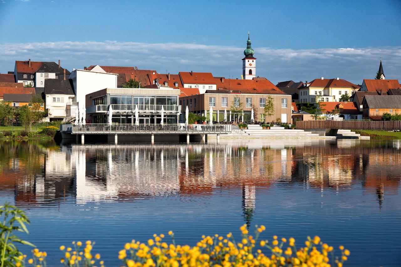 Seenario - Art & Health Hotel Am See Tirschenreuth Exterior photo